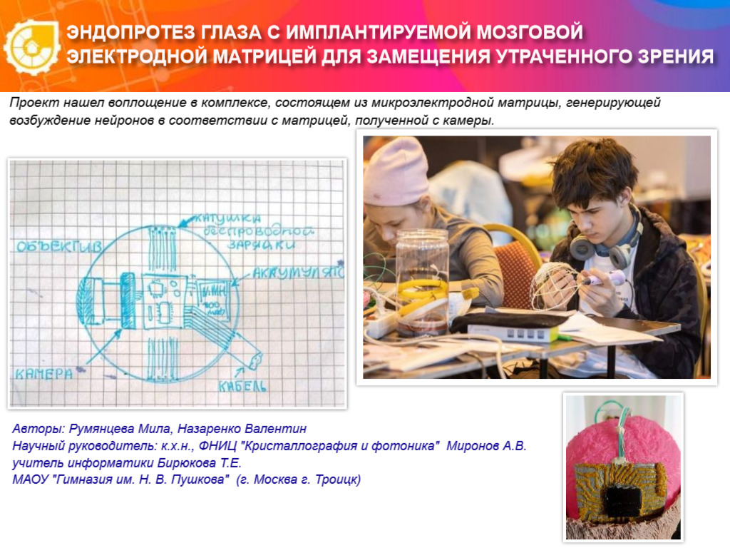 ЭНДОПРОТЕЗ ГЛАЗА С ИМПЛАНТИРУЕМОЙ МОЗГОВОЙ ЭЛЕКТРОДНОЙ МАТРИЦЕЙ ДЛЯ ЗАМЕЩЕНИЯ УТРАЧЕННОГО ЗРЕНИЯ