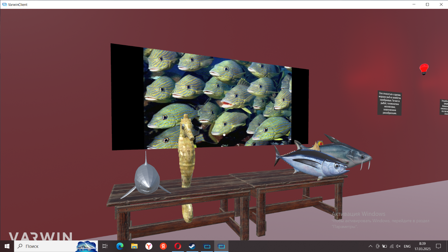 Создание виртуальной реальности в Varwin Education. Проект VR-симуляции ихтиолога