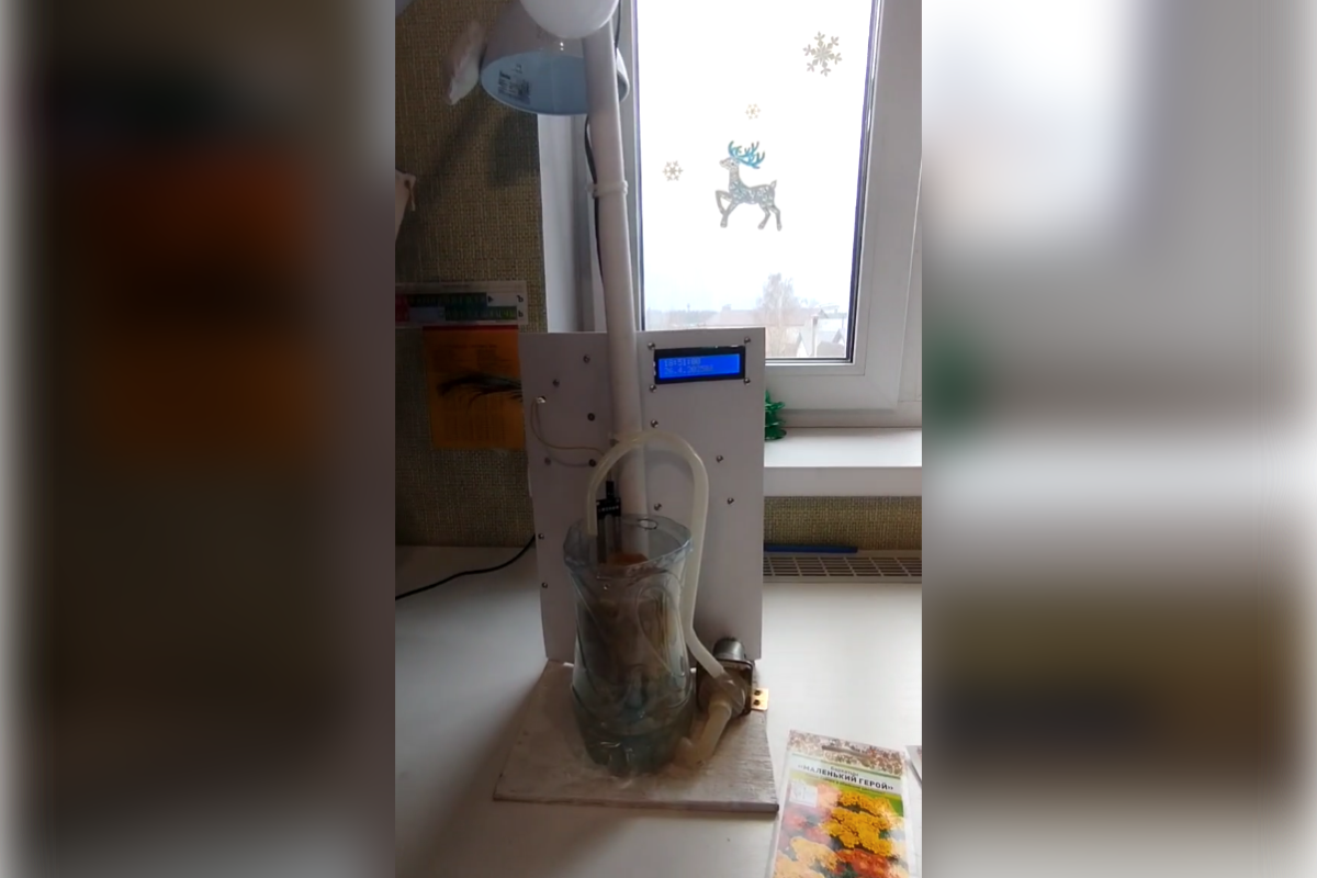 Гидропоника